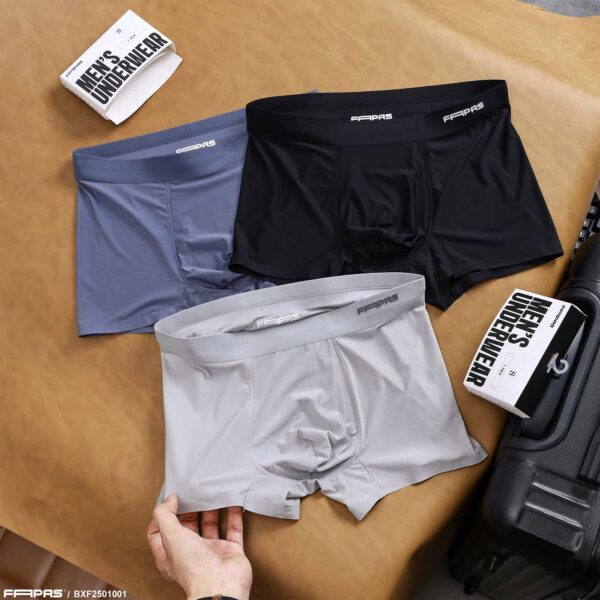 FAPAS｜Boxer Above