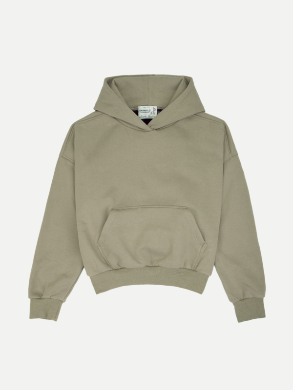 171_371b3b88-17c4-43e9-a552-4c542a7f3d0a-1 Goers Studio Capsule Boxy Hoodie in Muted Sage