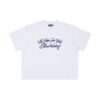 SWE Vision Boxy Tee T恤(灰)