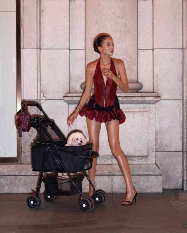VIERY｜Chandon Rosé Corset