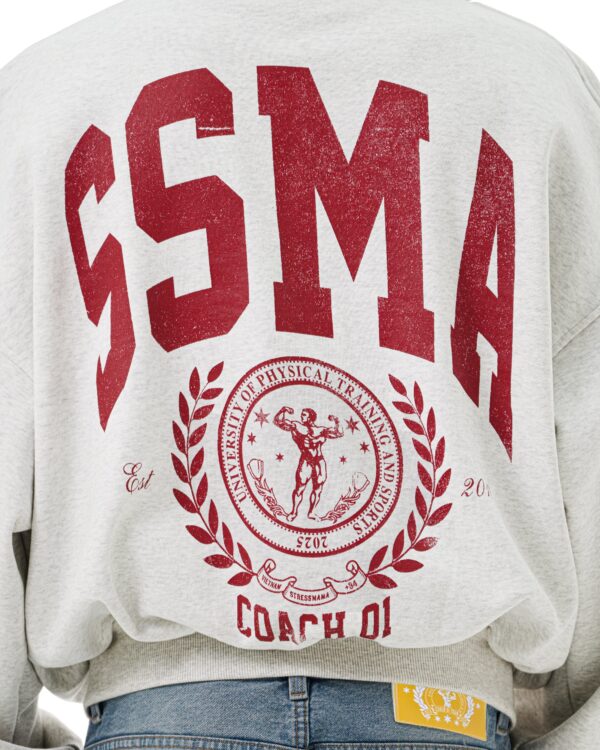 STRESSMAMA Fw25 Pt University Zip Hoodie 帽T(灰)