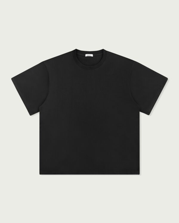 ALCYUSISM｜A25 W-AR Basic T- Shirt V2