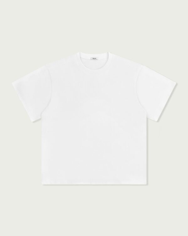 ALCYUSISM｜A25 W-AR Basic T- Shirt V2