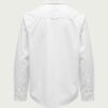 ALCYUSISM｜26-trcl Shirt