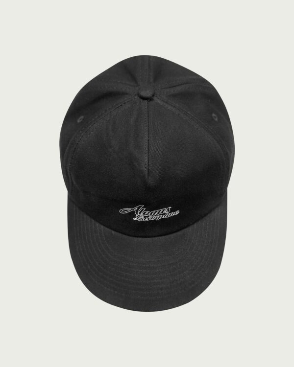 ALCYUSISM｜SNC CAP