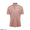 FAPAS｜Polo Regular Income