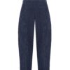HOWS｜Silent Structure Pleated Pants WITH BELT / Striped NAVY