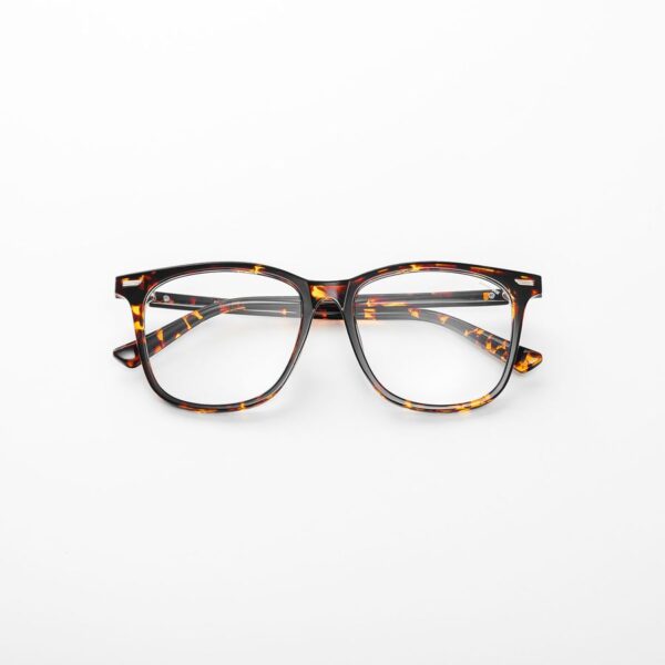 FAPAS｜Sunglasses Hazard