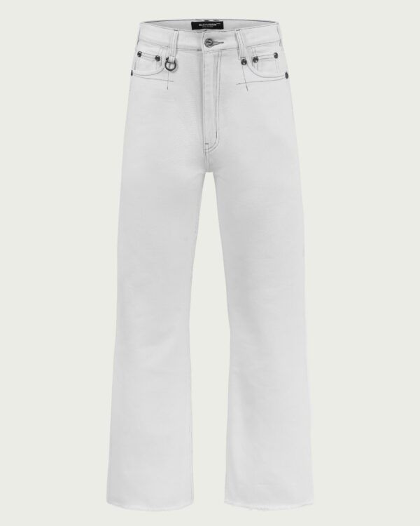 ALCYUSISM｜Wdenim CB Pants