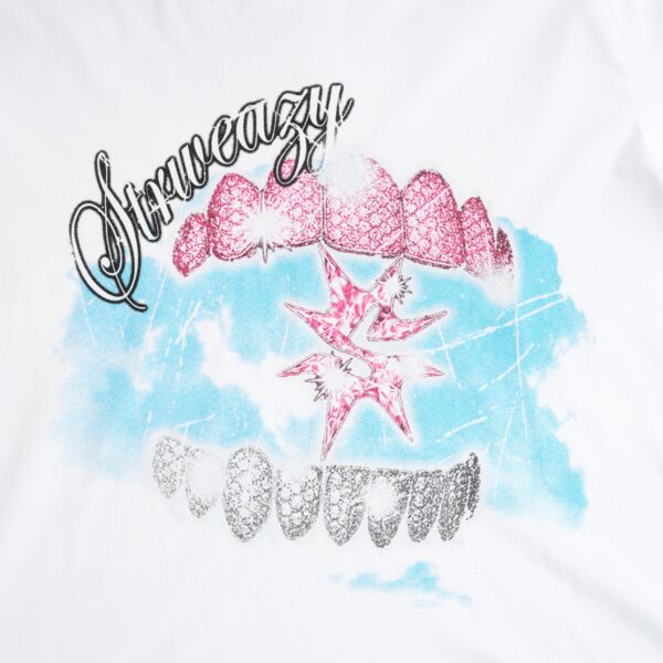 SWE Grillz Boxy Tee T恤(白)