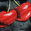 SWE Cherry Boxy Tee T恤(黑)