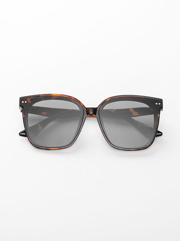 FAPAS｜Sunglasses Amaze
