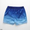 FAPAS｜Beach Shorts Regular Sky