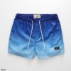 FAPAS｜Beach Shorts Regular Sky